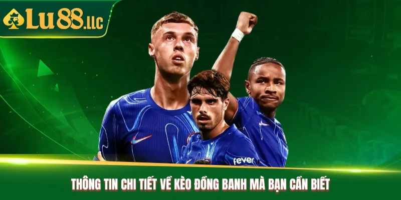 Thông tin chi tiết về kèo đồng banh mà bạn cần biết Thông tin chi tiết về kèo đồng banh mà bạn cần biết