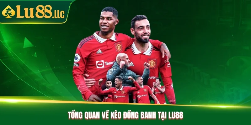 Tổng quan về kèo đồng banh tại Lu88 Tổng quan về kèo đồng banh tại Lu88