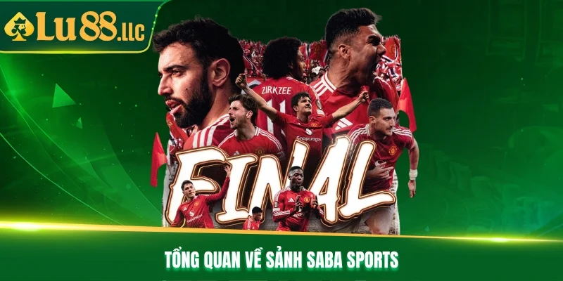 Tổng quan về sảnh Saba Sports Tổng quan về sảnh Saba Sports
